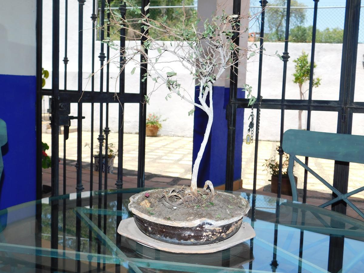 Casa Erizo 39 (Adults Only) Hotel Гуанахуато Екстериор снимка