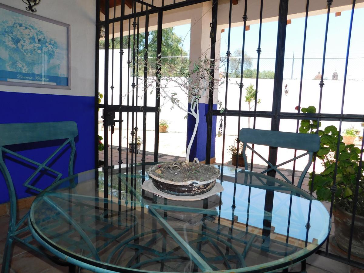 Casa Erizo 39 (Adults Only) Hotel Гуанахуато Екстериор снимка