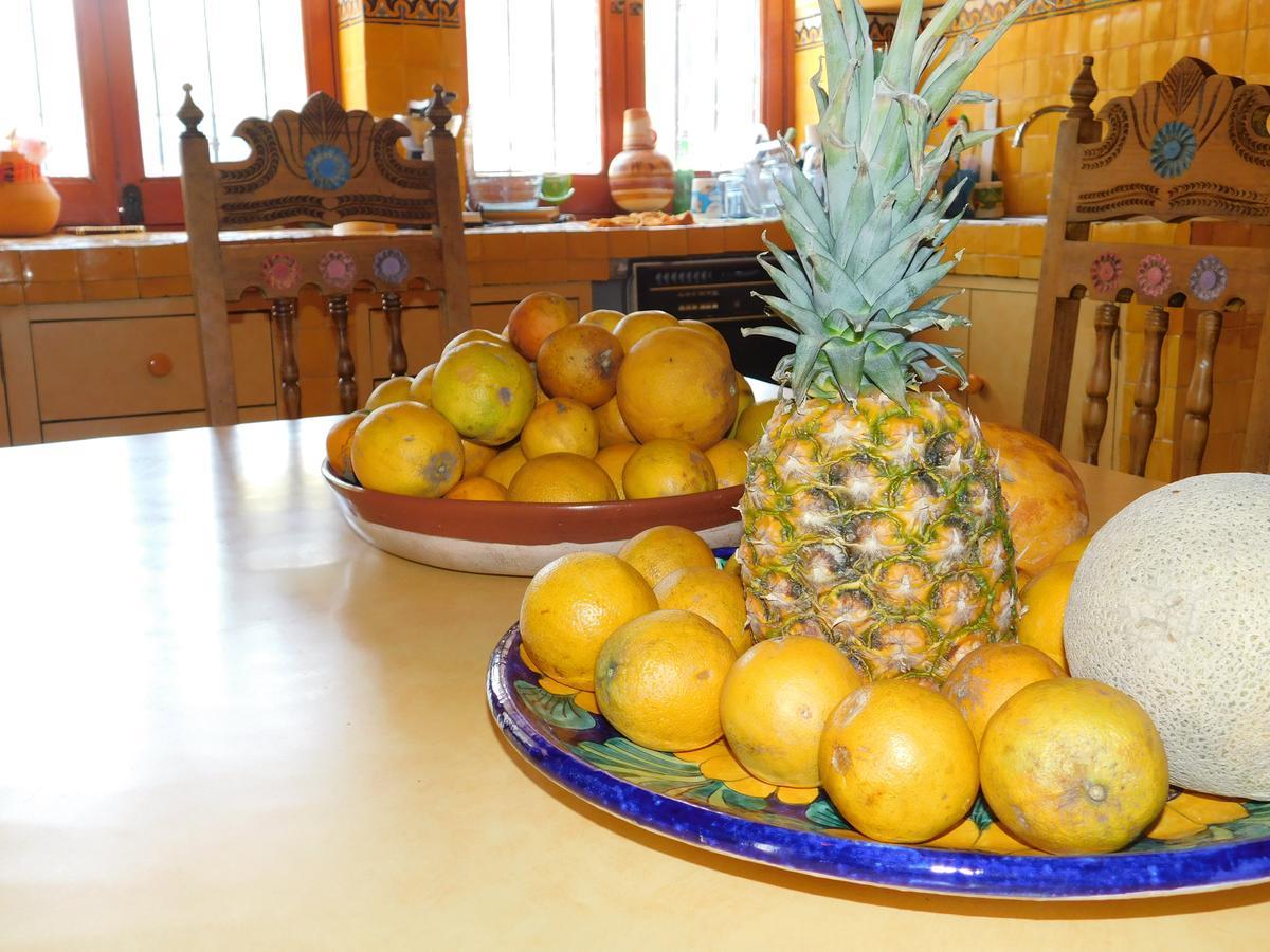 Casa Erizo 39 (Adults Only) Hotel Гуанахуато Екстериор снимка